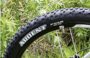 Maxxis Ardent tire